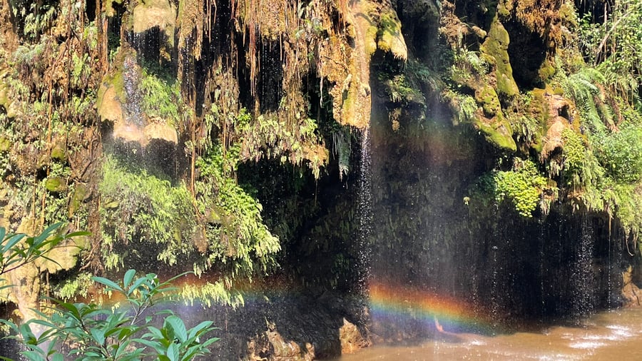Zoek verkoeling onder een waterval