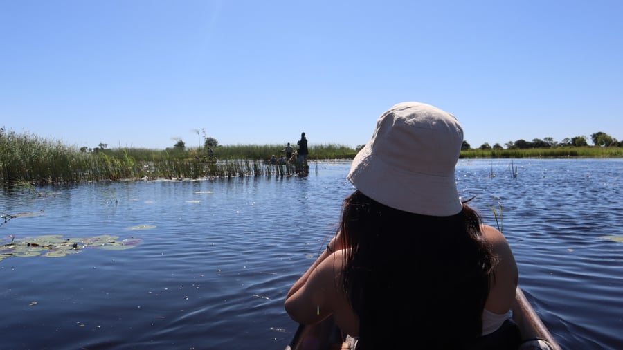 Cruise the Okavango Delta