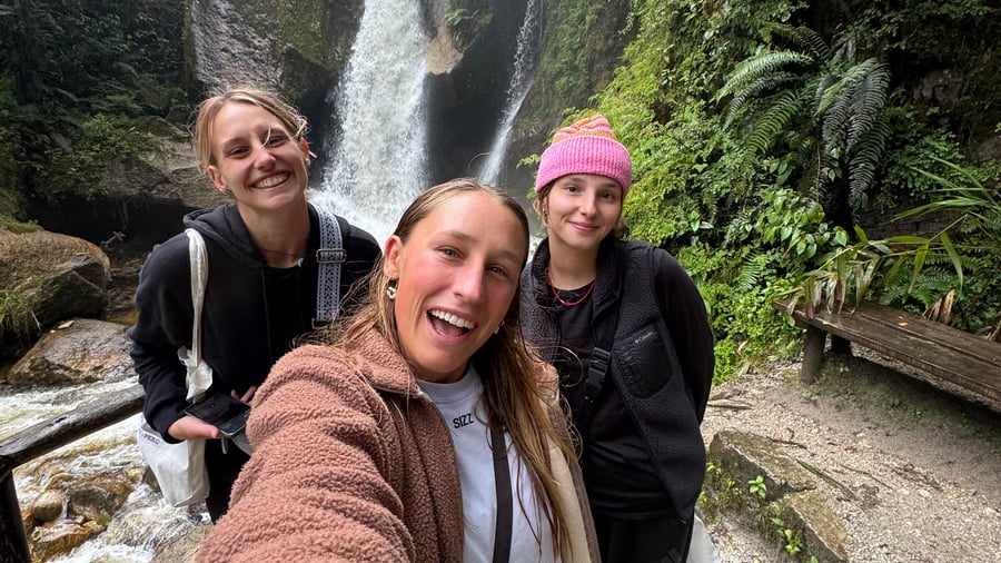 Jungle in Peru