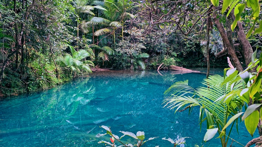 Lush, wild & beautiful