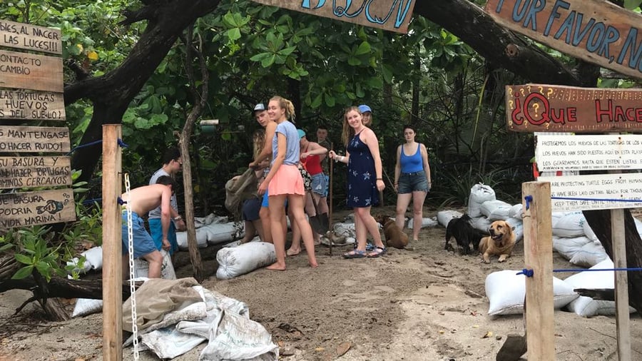 Volunteer with sea turtle conservation