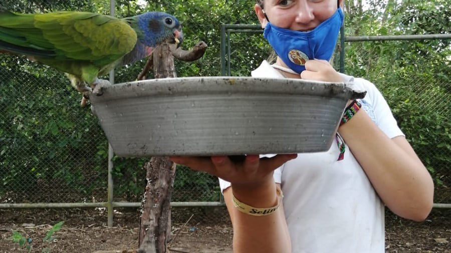 Volunteer caring for rescued wildlife