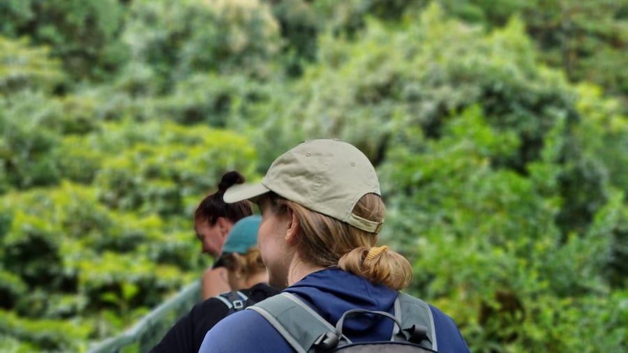 Monteverde is the perfect day tour in Costa Rica. 