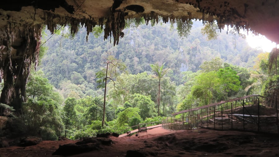 Exploring the caves of Borneo 