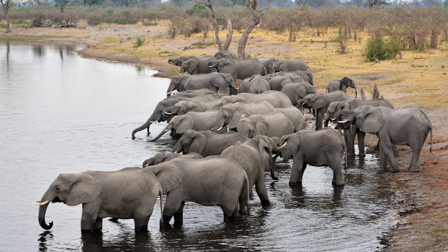 Kavango River, Namibia