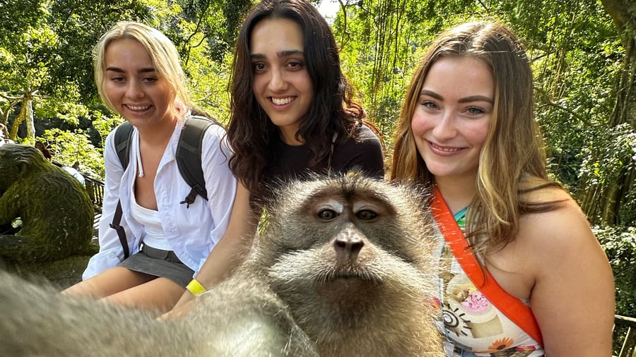 Meet new creatures in Bali