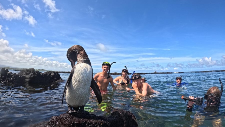 Snorkeling in the Galapagos