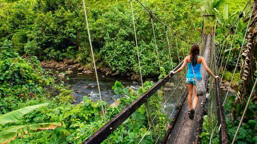 Gå gennem jungle og frodige regnskove på Fiji