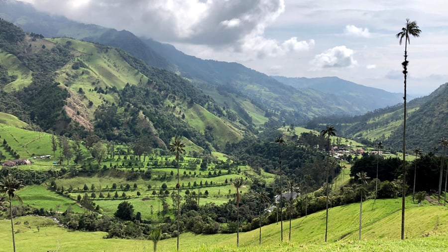 Valle de Cocora