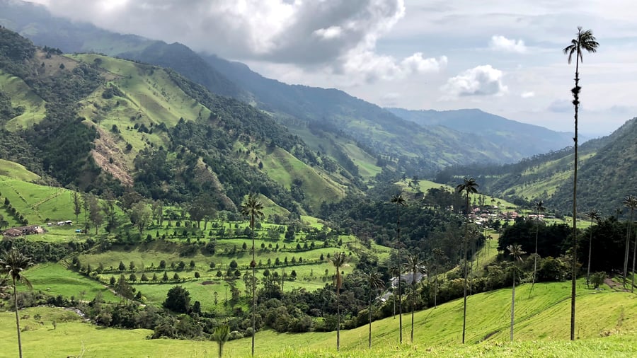 Valle de Cocora