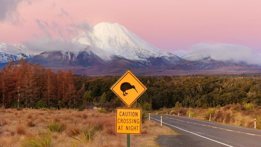 Kør selv på magiske New Zealand