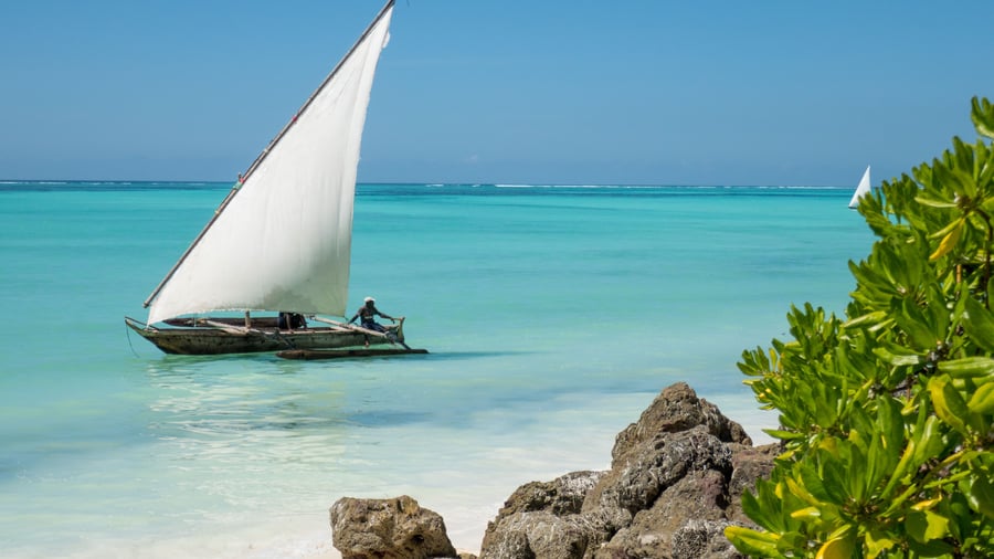 Safari i Tanzania og badeferie på Zanzibar