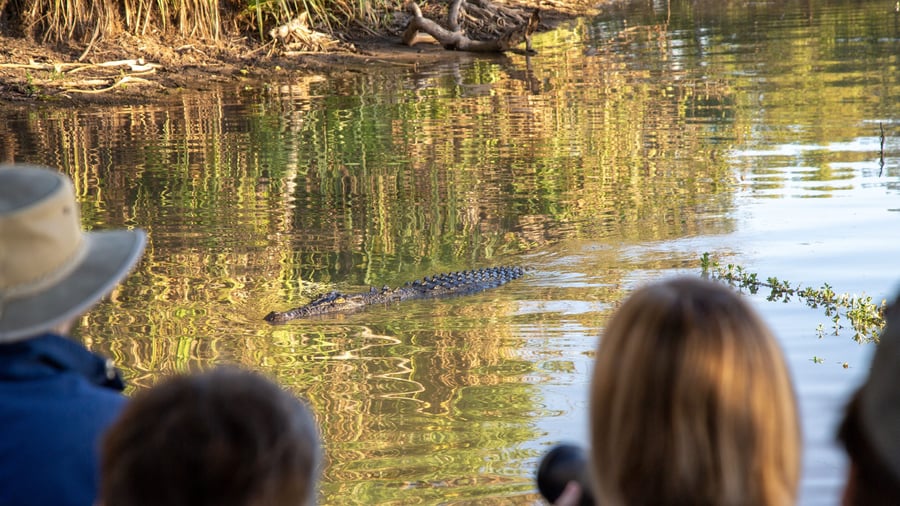 Krokodillesafari på søen Yellow Water