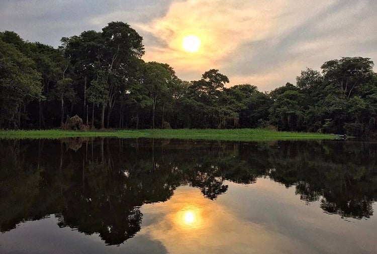 The Amazon, Brazil