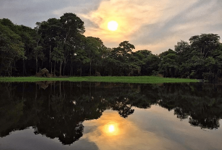 The Amazon, Brazil