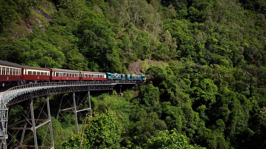 Togtur til Kuranda