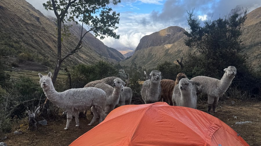 Kampeer tijdens de trek