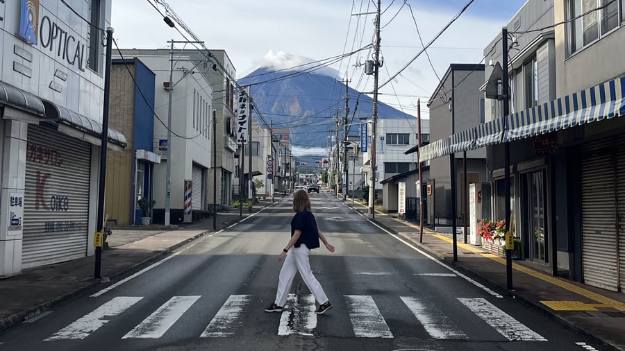 Reis door Japan
