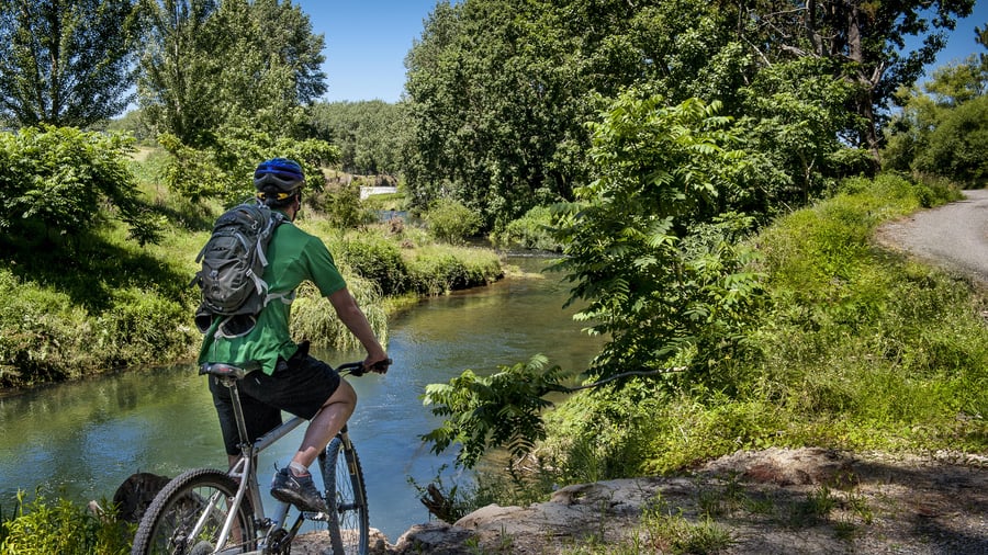 Cycling in New Zealand
