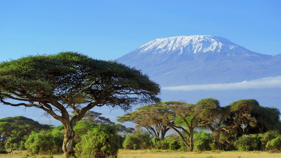 Amboseli med ikoniske Kilimanjaro i baggrunden