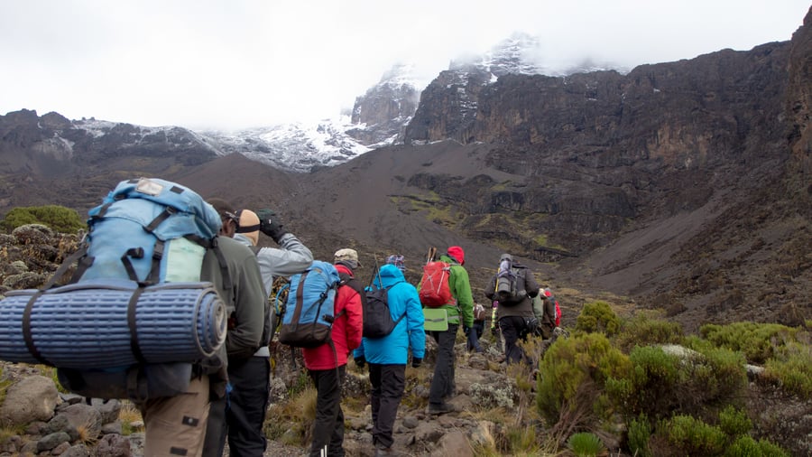 Trek to Africa's highest point, Mt Kilimanjaro