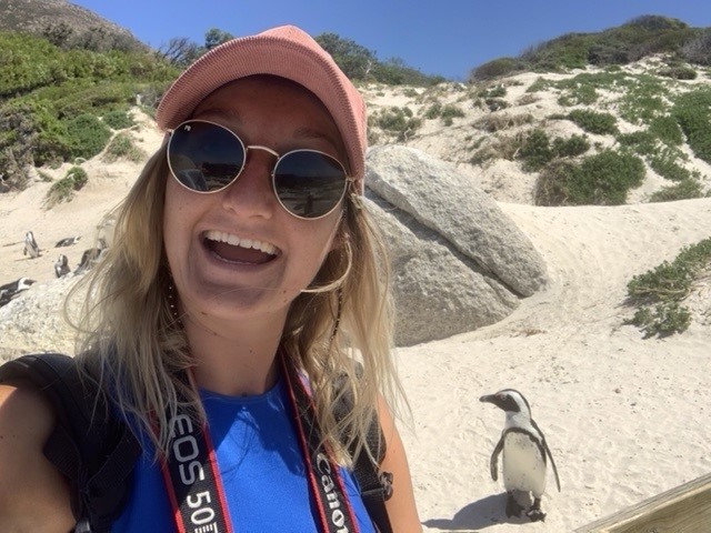 Hitta mörgæsir á Boulders Beach