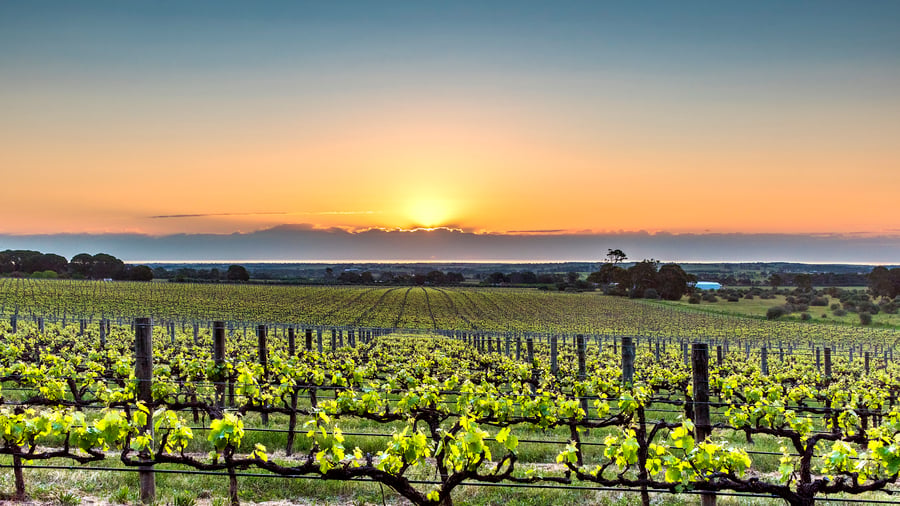 McLaren Valley i södra Australien