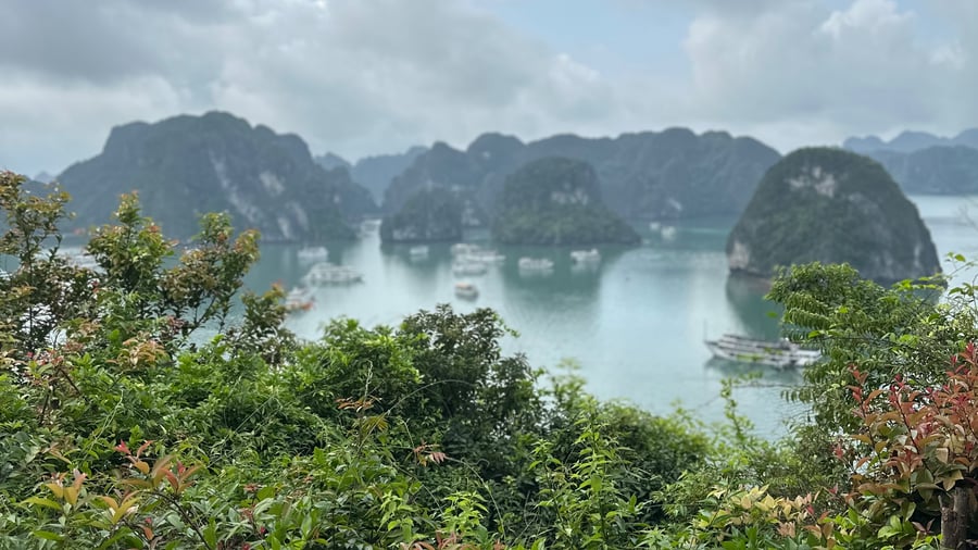 Overlooking Ha Long Bay