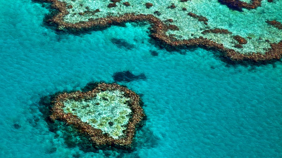 Se "Heart of the Reef" i helikopter i Australien