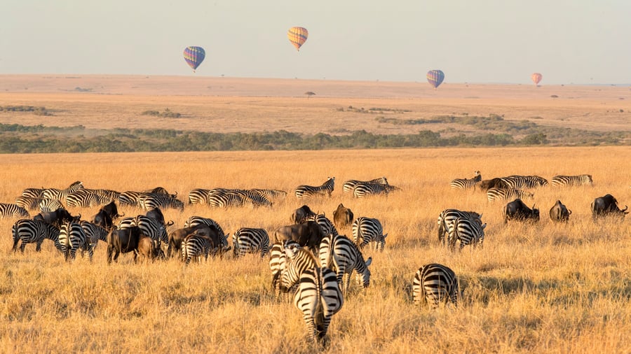 Upplev Masai Mara från luften med ballongsafari