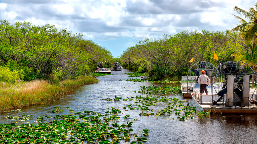 Hopp på en Everglades-tur