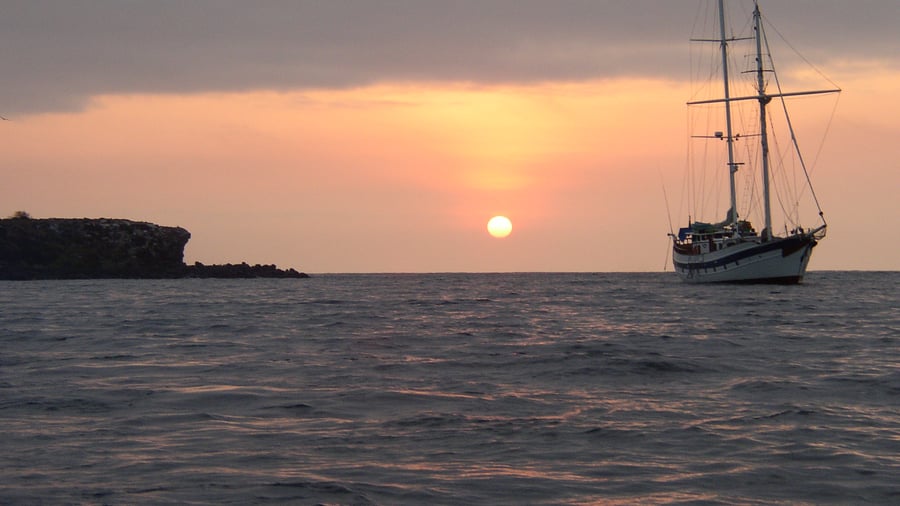 Sail the Galápagos and explroe the islands. 