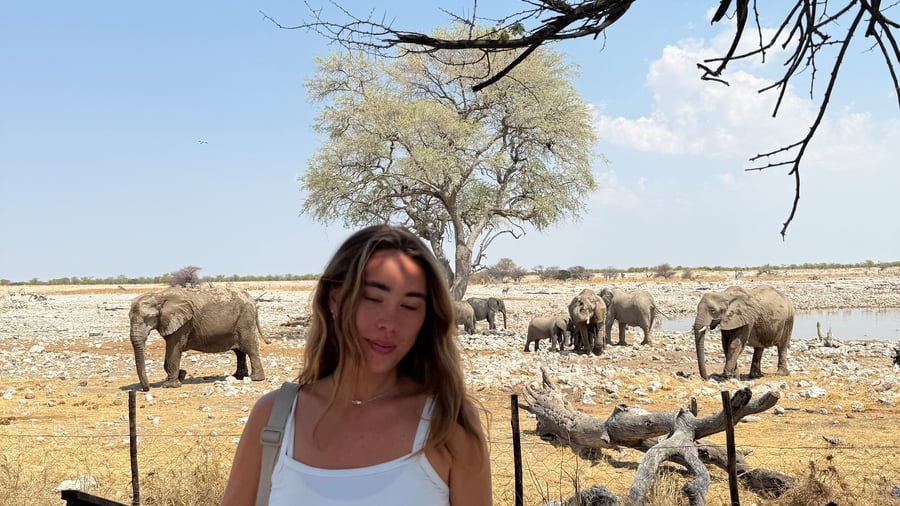 Go on safari