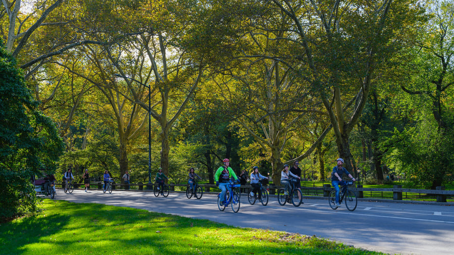 Bikes in Central Park