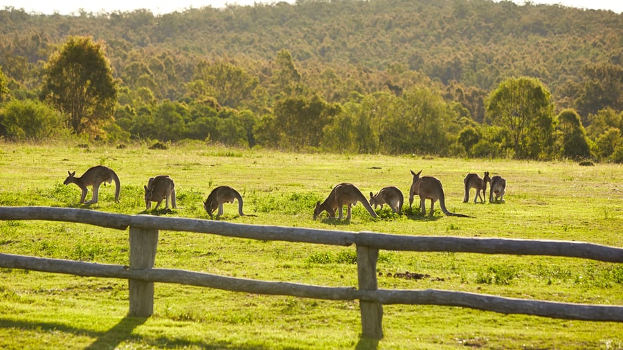 Oplev kontrastfyldte landskaber og vildt dyreliv