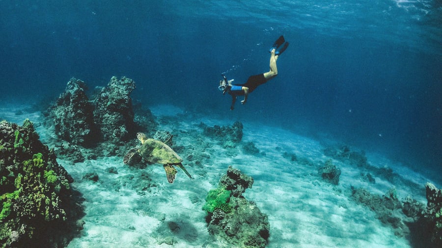 Diving in Hawaii