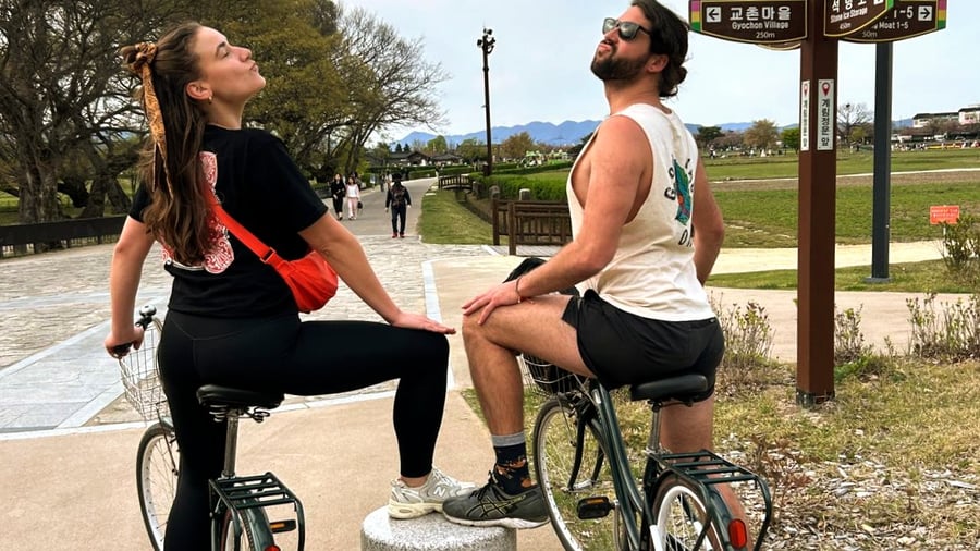 Cycling through the "Museum Without Walls"