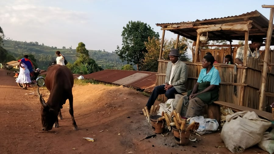 Explore Uganda