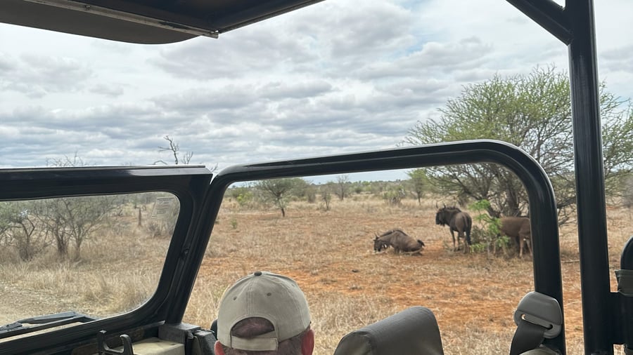 A guide can enhance your wildlife experience