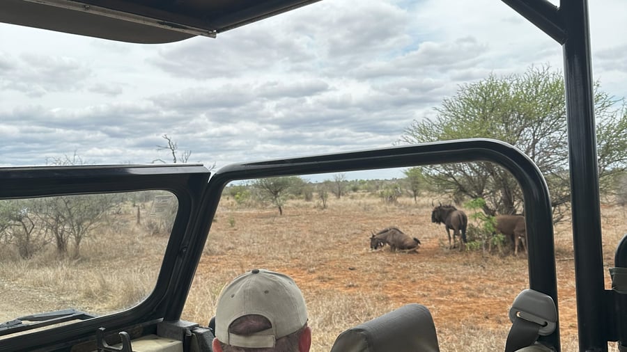 A guide can enhance your wildlife experience