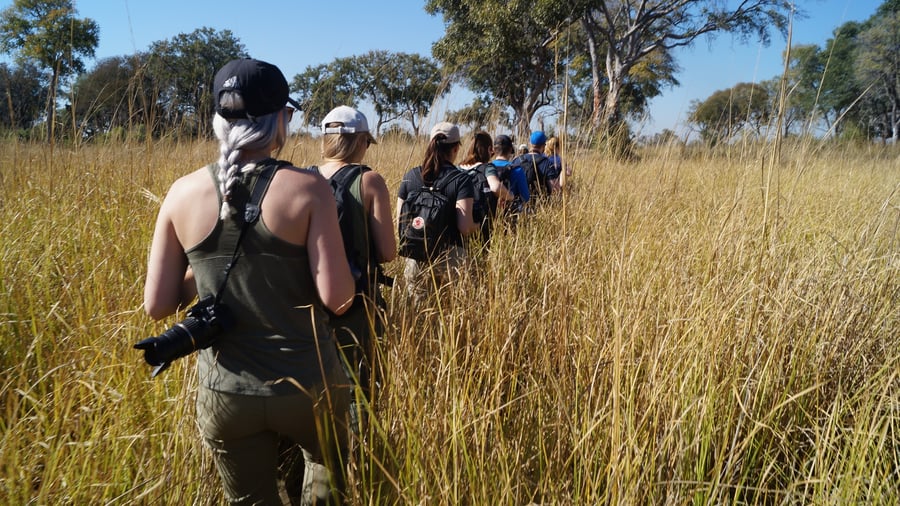 Go on an adventure in Africa