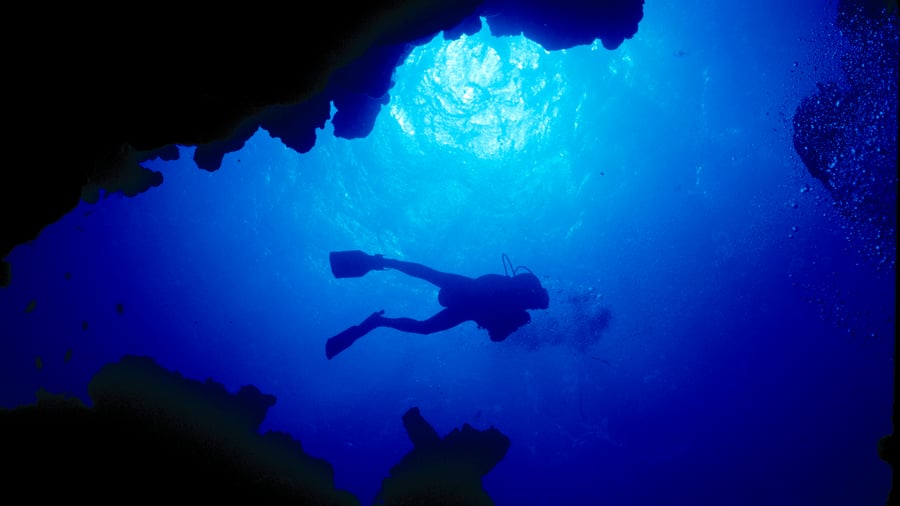 Explroe the deep blue. 