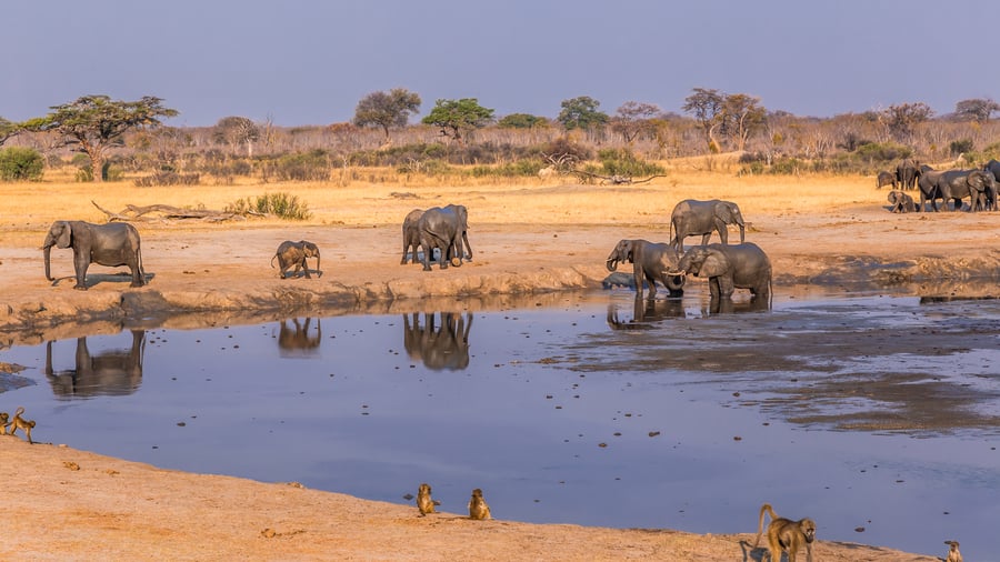 Hwange