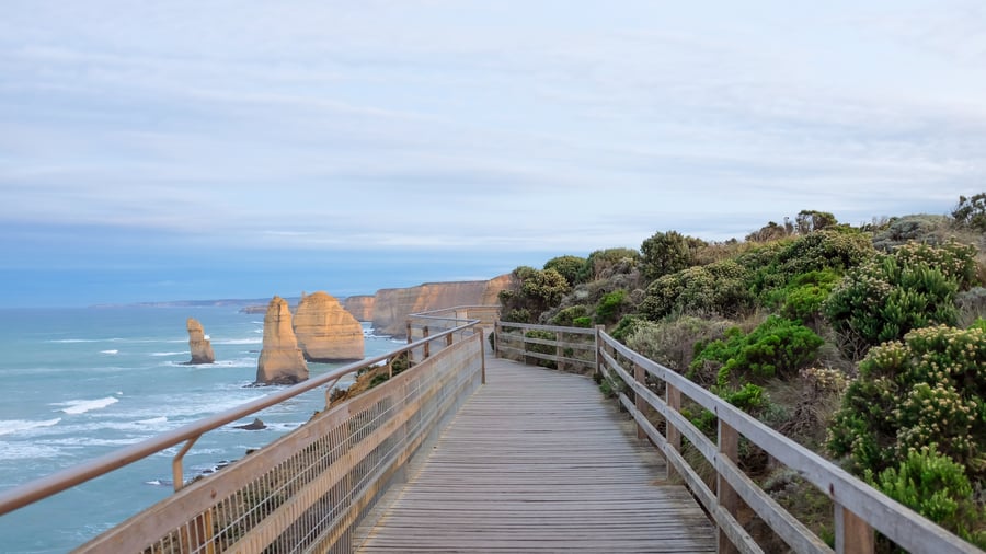 Langs Great Ocean Road kan du opleve koalaer