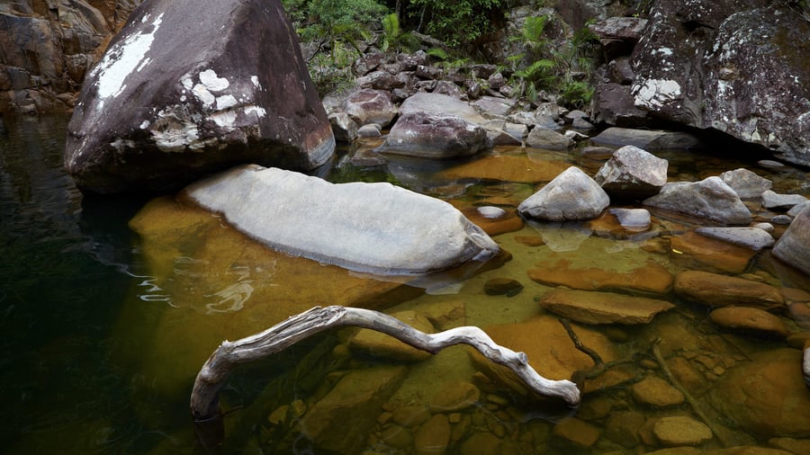 Eungella National Park