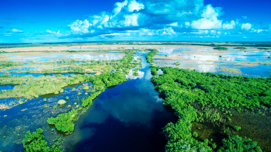 Everglades Natinal Park. 