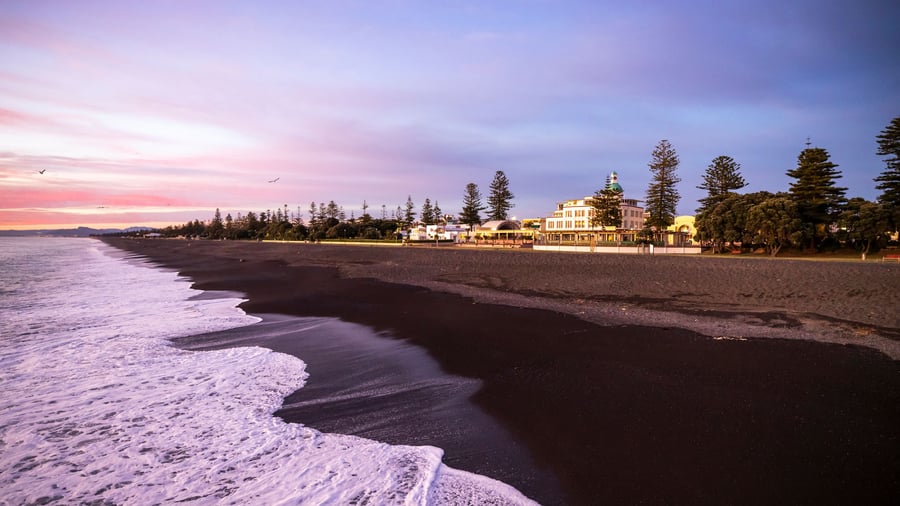 Napier