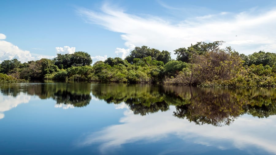 Amazonas