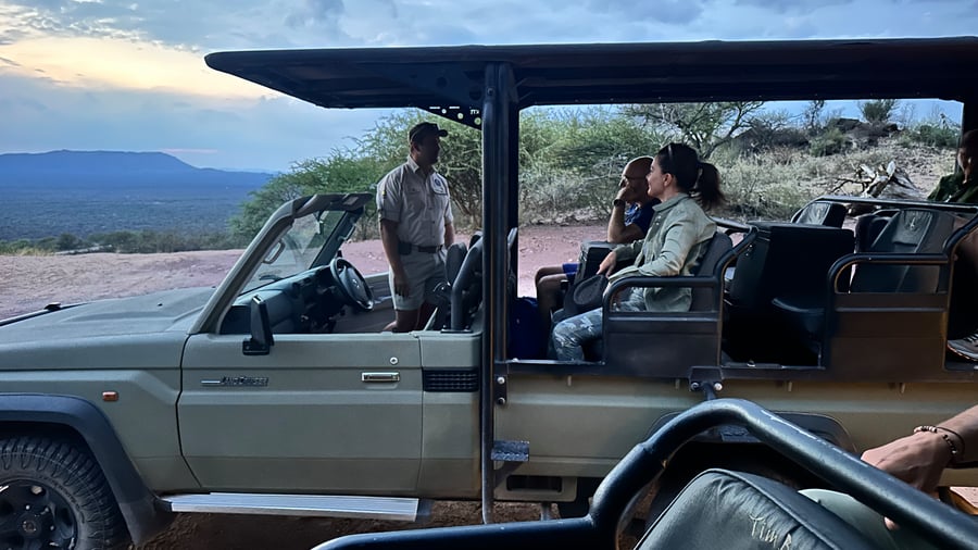 Safari car