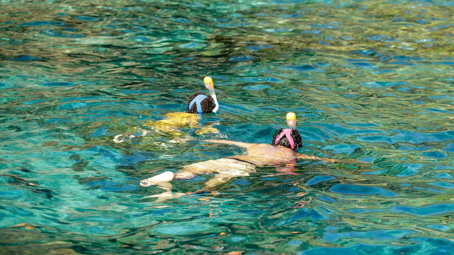 Ta med barnen på snorkeläventyr